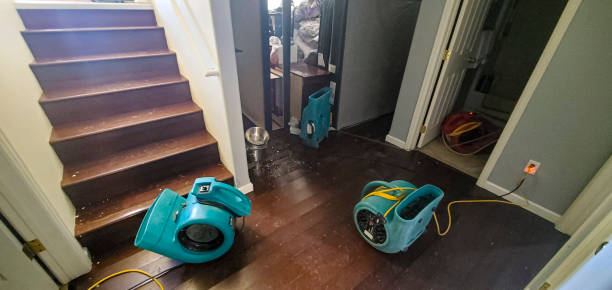 Best Flood damage cleanup  in Mckeesport, PA
