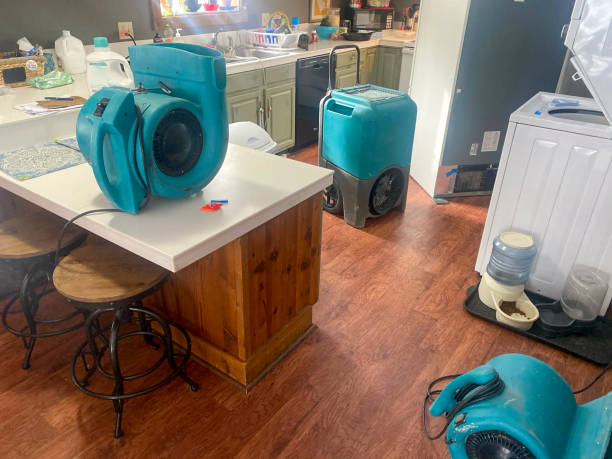 Best Water damage restoration near me  in Mckeesport, PA