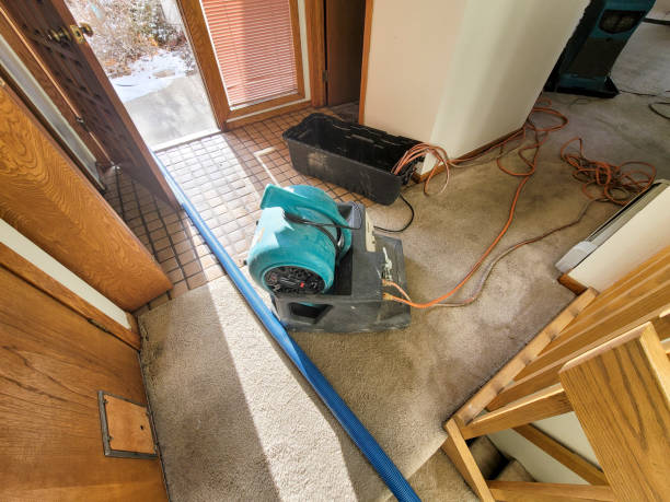 Mckeesport, PA Water damage restoration Company