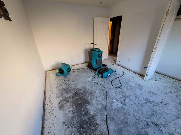 Best Commercial water damage restoration  in Mckeesport, PA