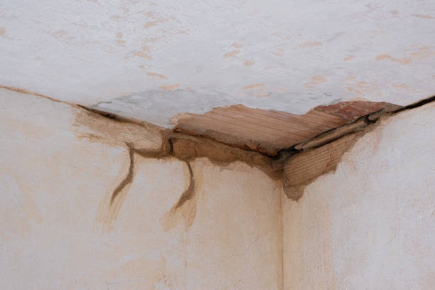 Best Water damage cleanup near me  in Mckeesport, PA