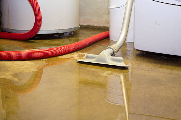 Best Basement water damage restoration  in Mckeesport, PA