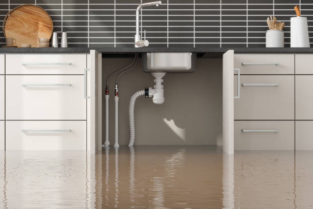 Best Water damage restoration insurance claims  in Mckeesport, PA